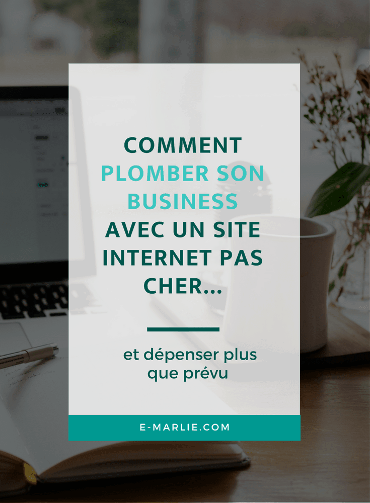 cheapwebsite comment plomber son business avec un site pas cher