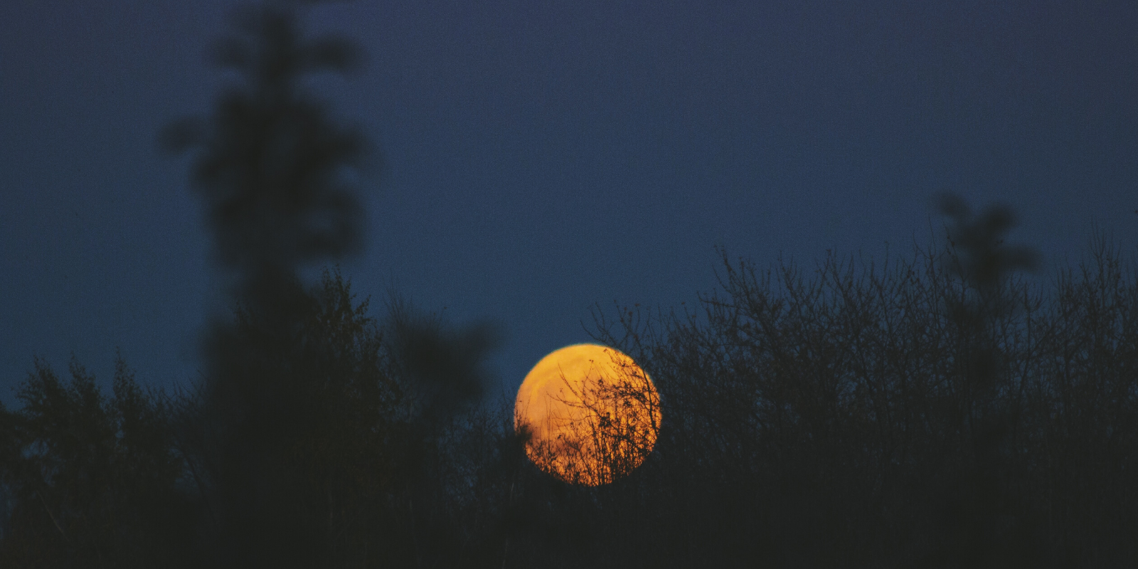 Slowpreneur Lune ©Noah Silliman