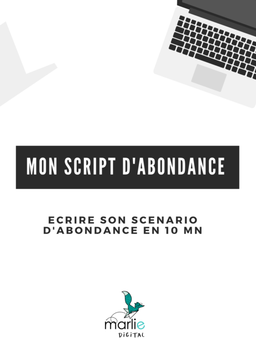 Modele Script D'abondance