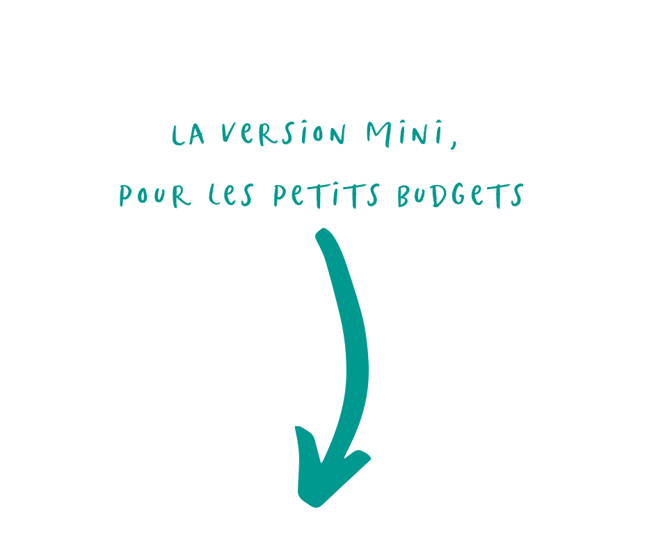 La Version Mini, Pour Les Petits Budgets La version mini, pour les petits budgets