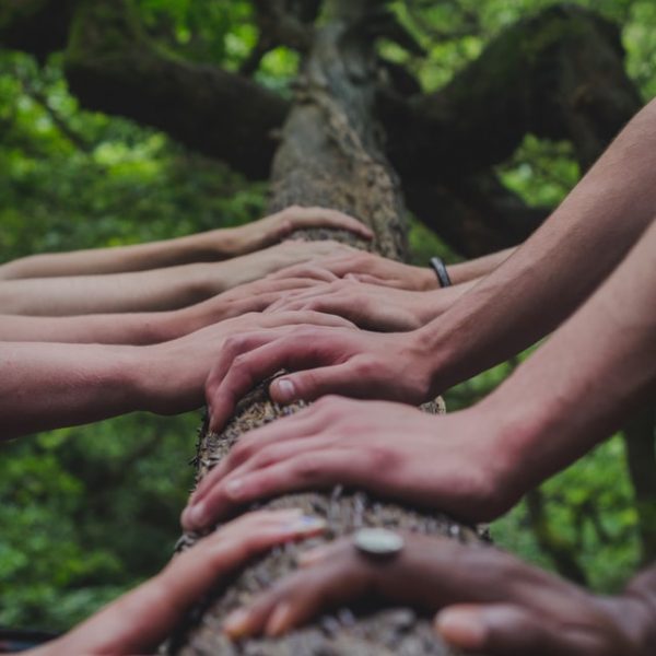 Ambiance Slowpreneur ©shane Rounce @shanerounc Unsplash