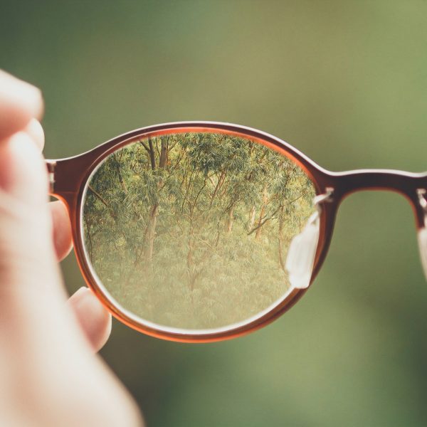 Bud Helisson KqguzgvYrtM Unsplash Bud Helisson KqguzgvYrtM Unsplash