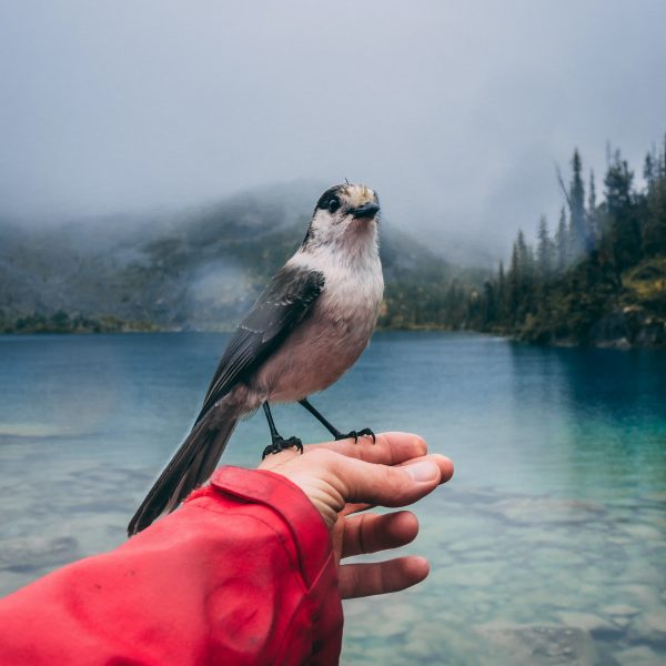 zachary-kyra-derksen-RrTYO8B35Gs-unsplash passer à la vitesse supérieure